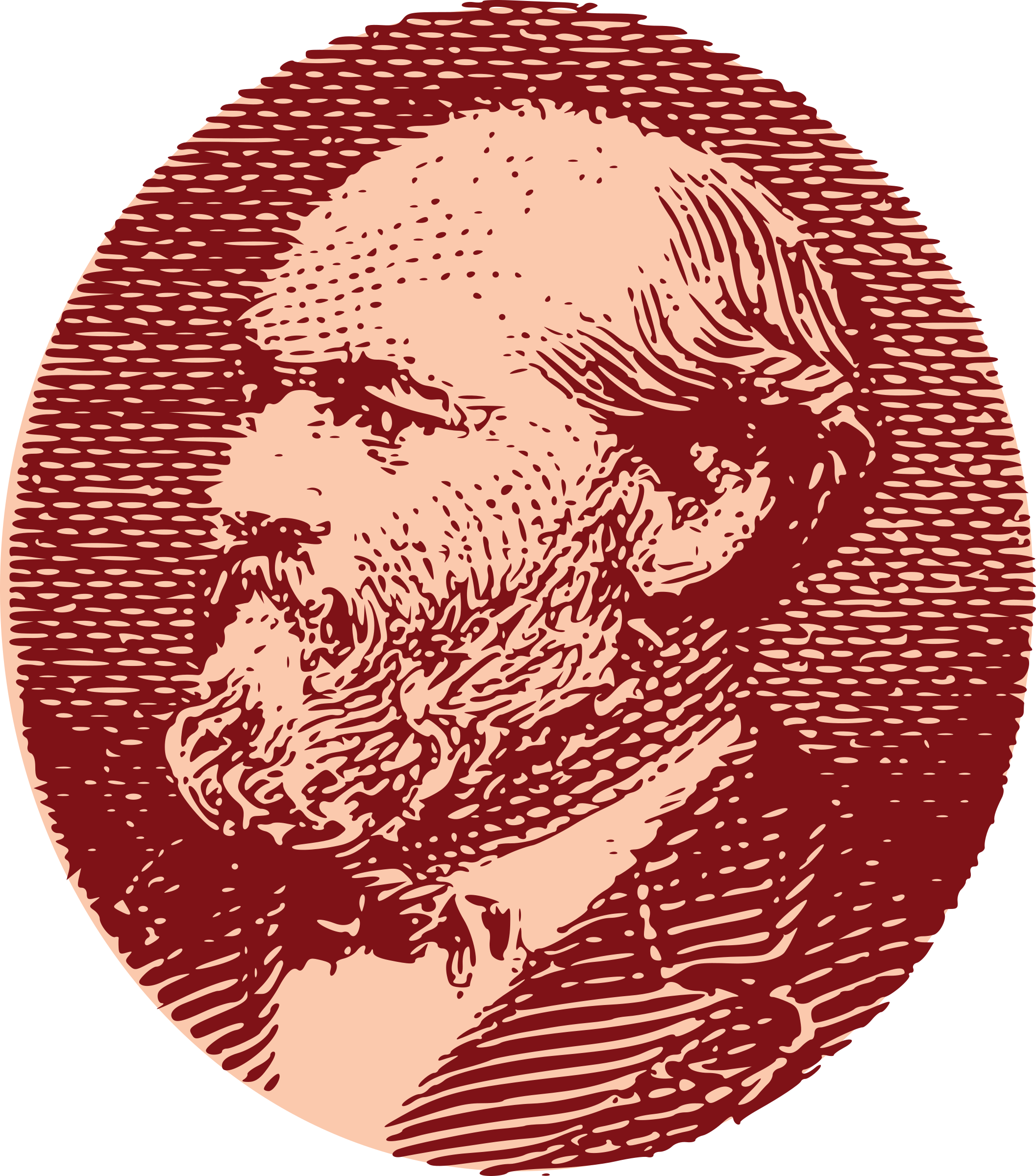 This Free Icons Png Design Of James Garfield (2114x2400), Png Download