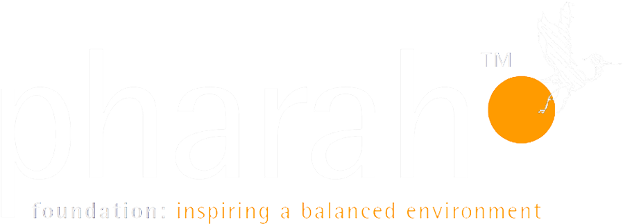 Pharah Foundation - Circle (1000x800), Png Download