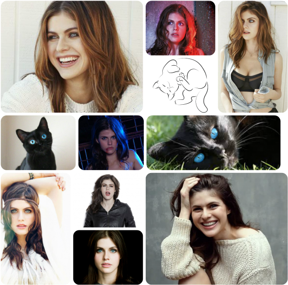Kayleescollage - Alexandra Daddario Poster 24x36 (600x594), Png Download