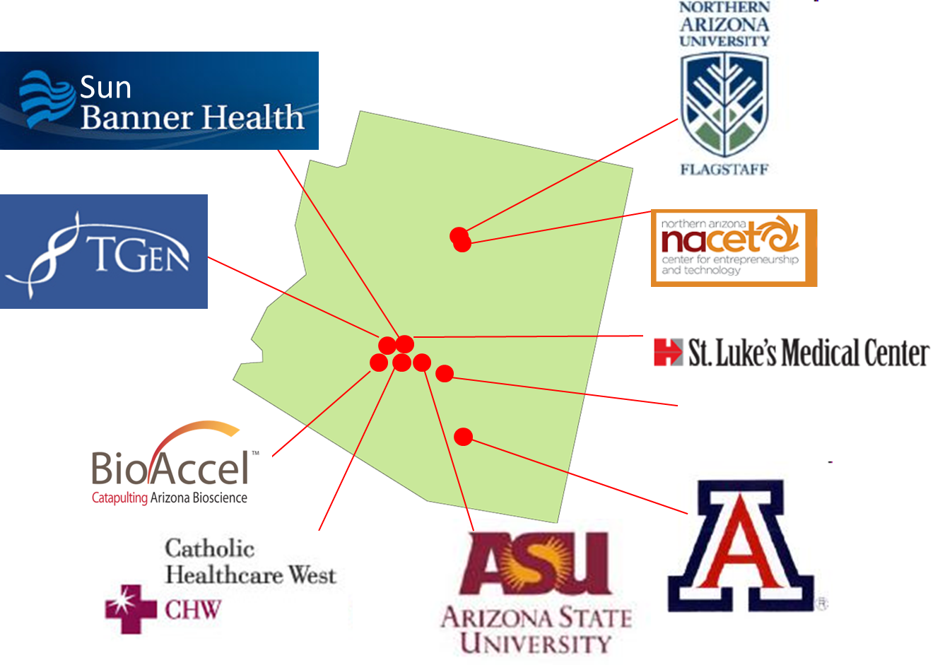 Bioaccel Created The Coalition For Bioscience Commercialization - Arizona State University (1330x941), Png Download