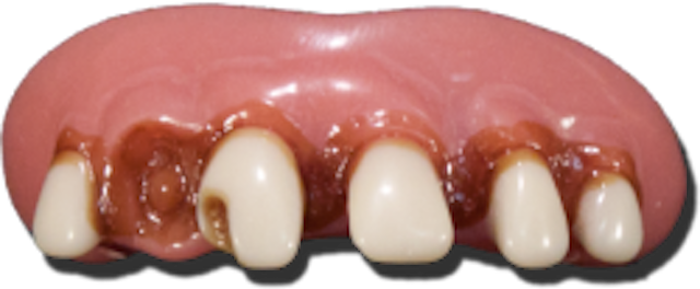 The Original Billy-bob Huntin N Fishin Teeth - Carmine (640x264), Png Download