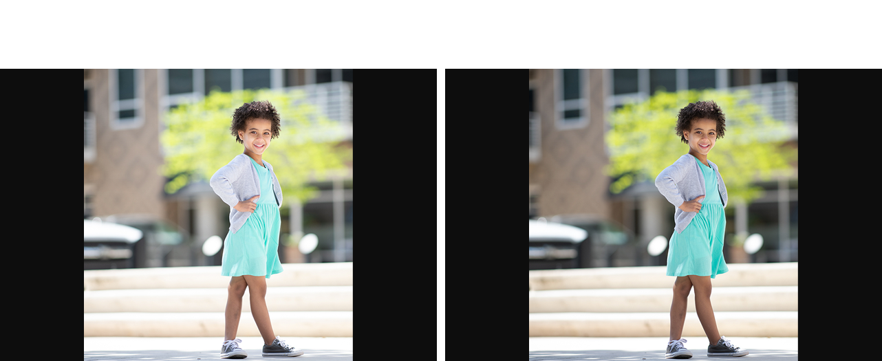 Tamara Lackey Color For Dayz Luts - Snapshot (1282x525), Png Download