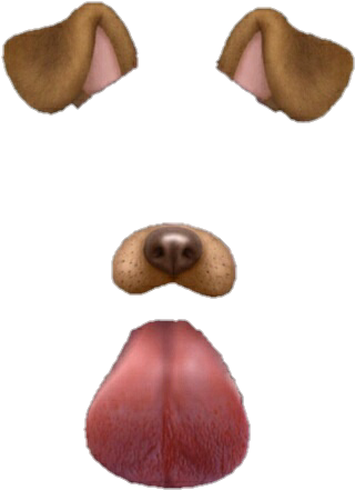 Filtros Tumblr - Snapchat Dog Filter (500x529), Png Download