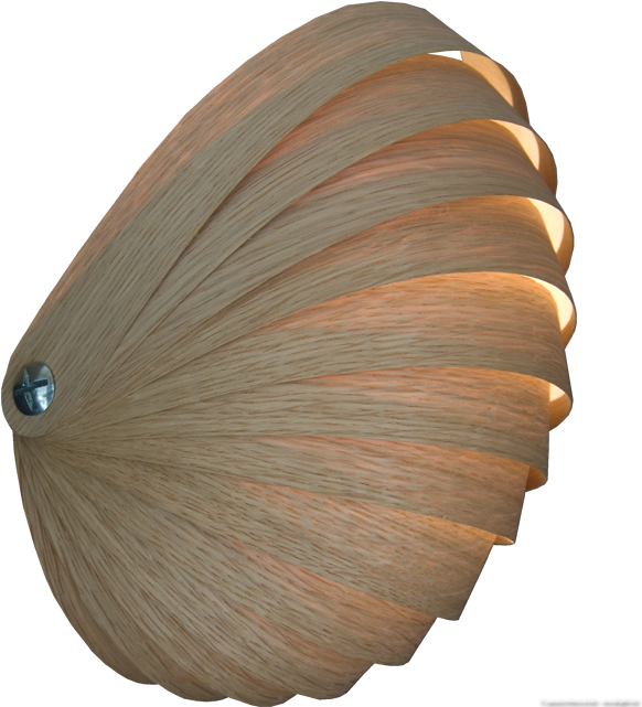 Nautilus Wandlamp-light In The Shape Of A Nautilus - Wandlamp Fineer (640x640), Png Download