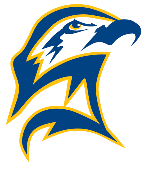 Seahawk Logo - St Mary's Seahawks (600x600), Png Download