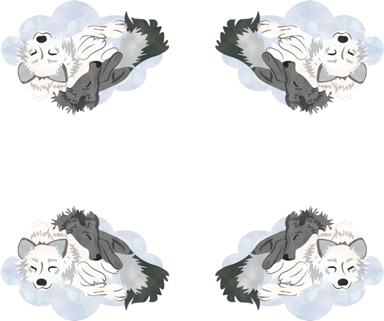 Cartoon (800x800), Png Download