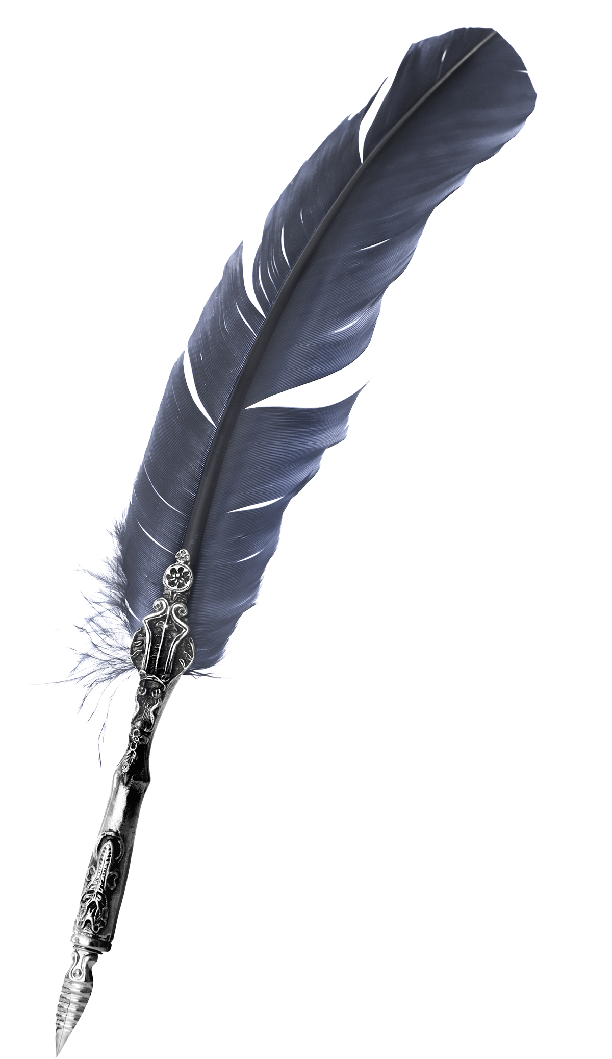 Quill Pen (1200x2075), Png Download