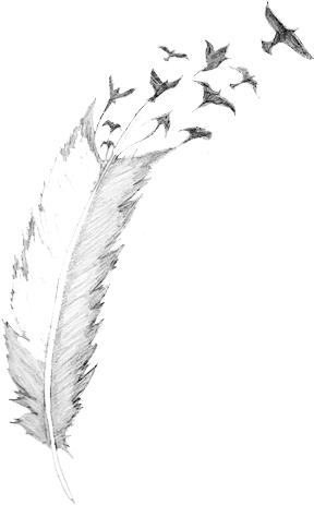 Blog Pluma - Take Those Broken Wings And Learn To Fly Quote (371x559), Png Download