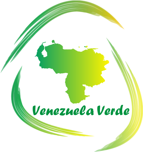 Logo Nuevo Con Colores - Venezuela (493x502), Png Download