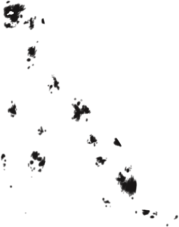 Speckles - Goose (475x538), Png Download