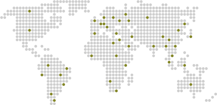 Dominican Republic Rwanda Russia Seychelles Singapore - 세계 지도 인포 그래픽 (891x445), Png Download