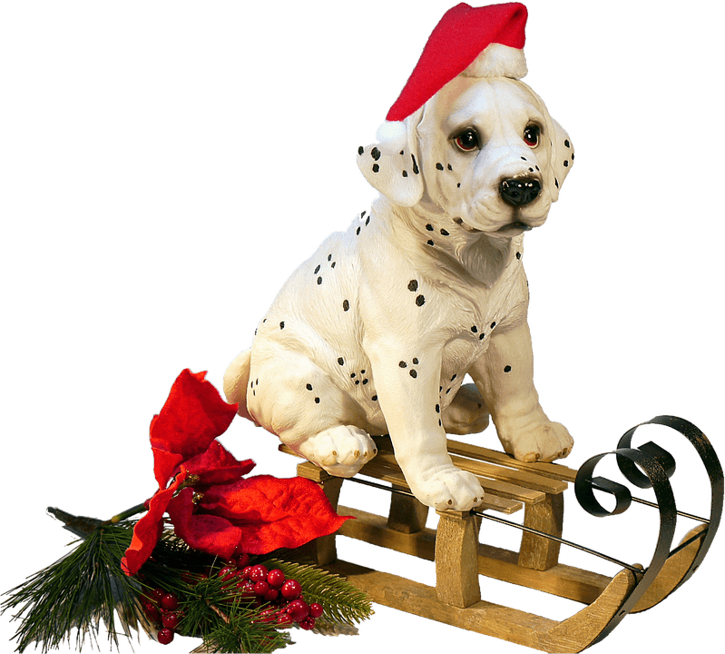 Christmas Dog On A Sledge Png - Christmas Dog Transparent (799x720), Png Download