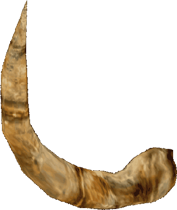 Svg Free Library Horn Elder Scrolls Fandom Powered - Horn Of Minotaur (450x514), Png Download