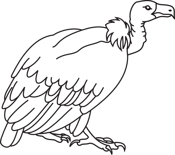 Black Vulture Clipart - Vulture Clipart Black And White Png (600x531), Png Download