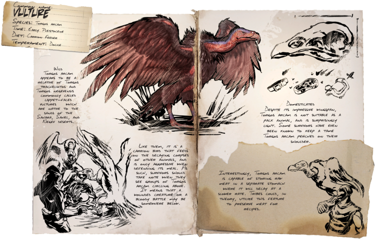 800px-dossier Vulture - Ark Survival Evolved Desert Maps (800x532), Png Download