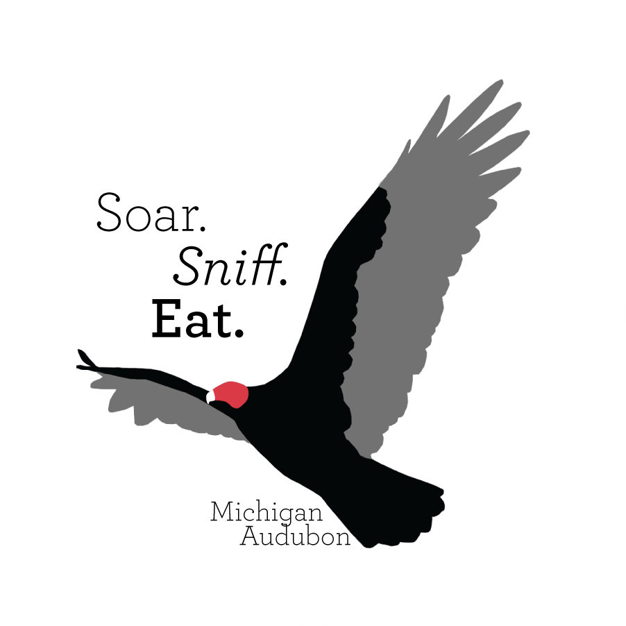 Get Ready To Soar, Sniff, And Eat Like A Vulture - Eagle (918x916), Png Download