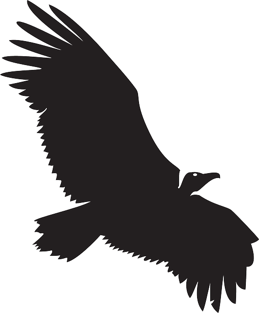 Google Search - Vultures In The Sky (a Hugh Rennert Mystery) By Todd (531x640), Png Download