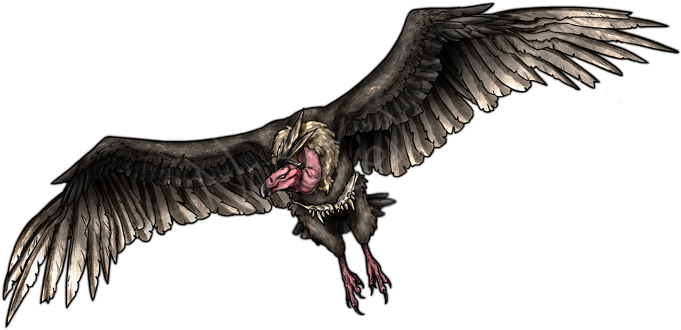 Clip Art Transparent Library Vultures Drawing Realistic - Mandibuzz Creepy (1000x507), Png Download