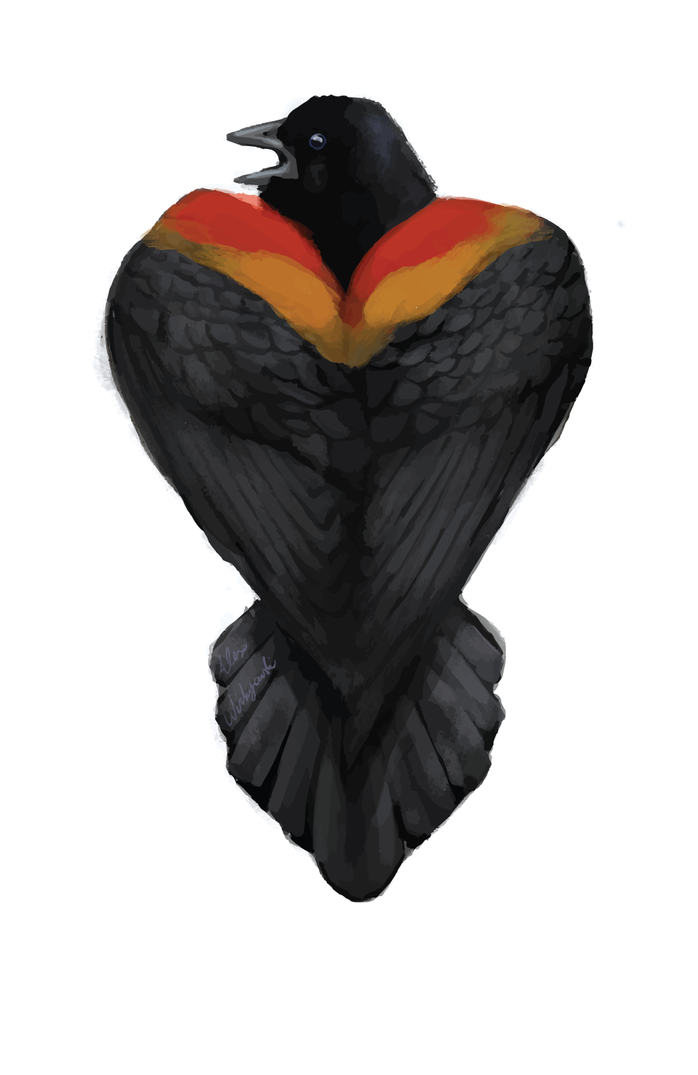 Thank You - Red Winged Blackbird (980x1509), Png Download