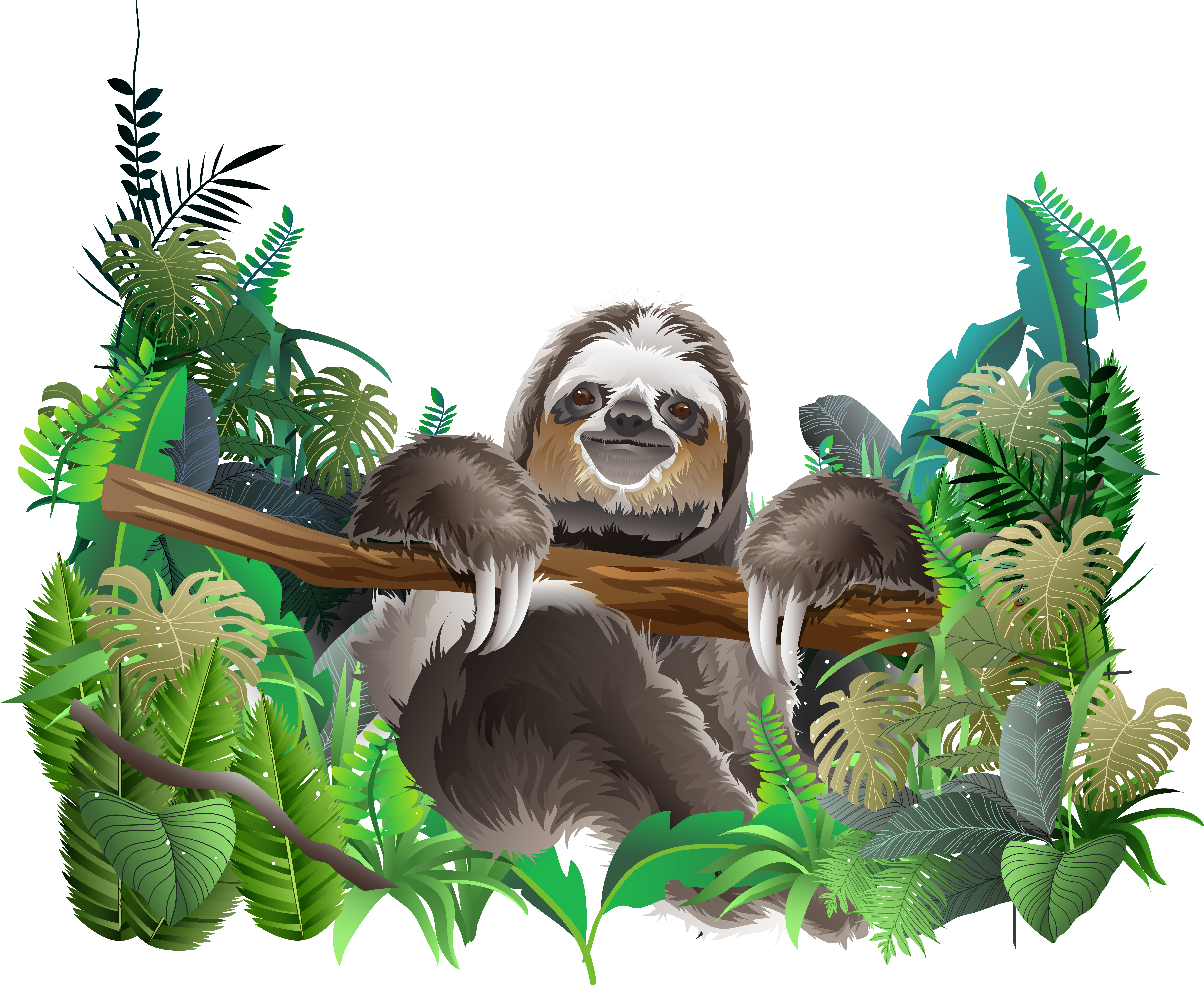 Clipart Royalty Free Library Sloth Euclidean Rainforest - Lb Prepasted Wall Mural Foto Wall Decor Wallpaper Freshness (7348x6012), Png Download