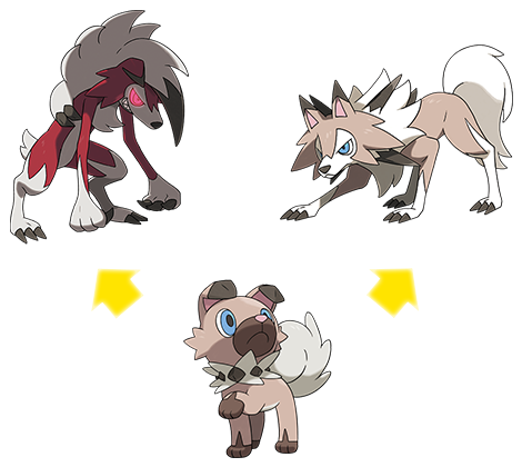 Tomy Pokemon Rockruff 8-inch Plush (500x500), Png Download
