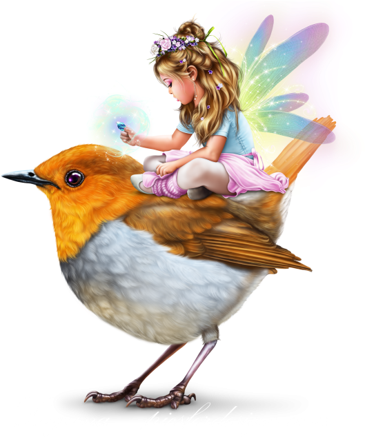 Little Fairy Girl Riding A Bird - Portable Network Graphics (640x640), Png Download