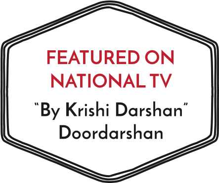 Gir Cow Milk Delhi - Sign (500x377), Png Download