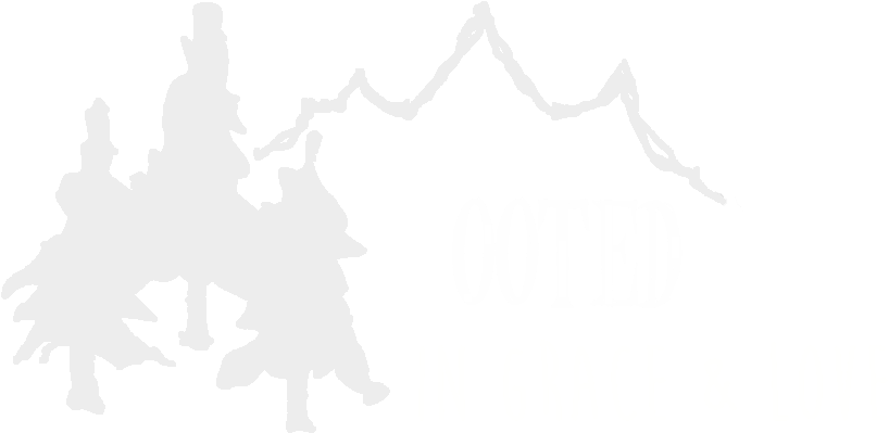 Rooted In Grace And Love - Rooted In Grace (824x404), Png Download