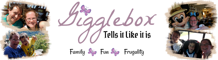 Gigglebox Tells It Like It Is - Calligraphy (900x250), Png Download