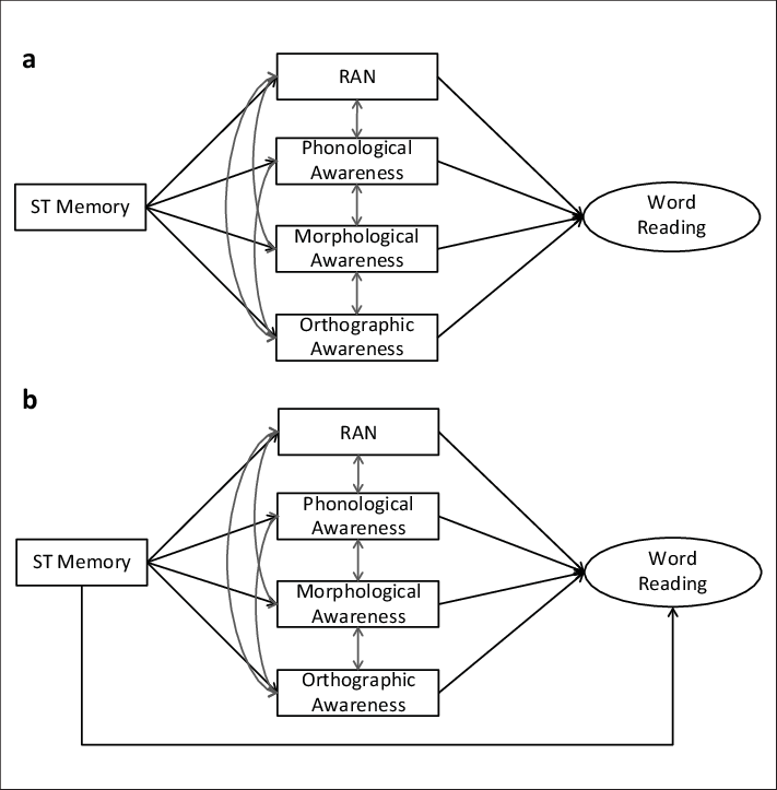 Black Lines Represent Predictive Relations Whereas - Diagram (711x723), Png Download