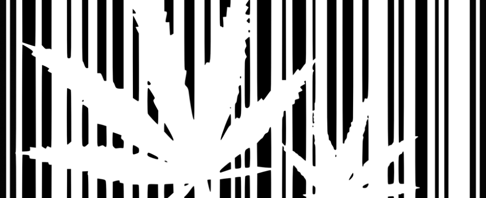 Straight Outta Weed - Illegal (980x400), Png Download