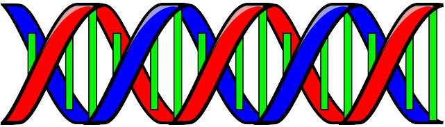 Science, Cartoon, Double, Helix, Lie, Biology, Study - Double Helix Clip Art (640x320), Png Download