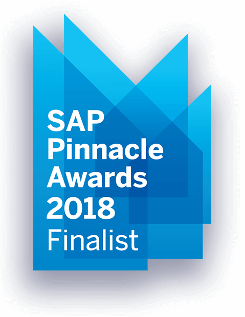 Read More - Sap Pinnacle Awards 2017 (479x620), Png Download
