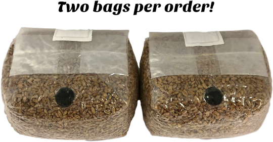 The Original Rye Spawn Bags - Bag (626x412), Png Download