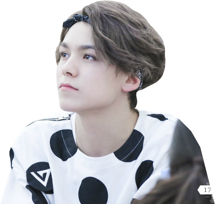 Svg Seventeen Transparent Png Images - Vernon Curly Hair Seventeen (1024x683), Png Download