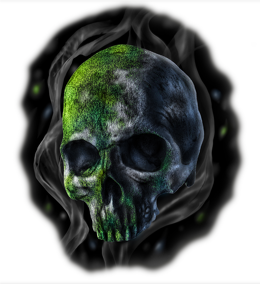 Old Moss-covered Skull - Skull (1000x1180), Png Download