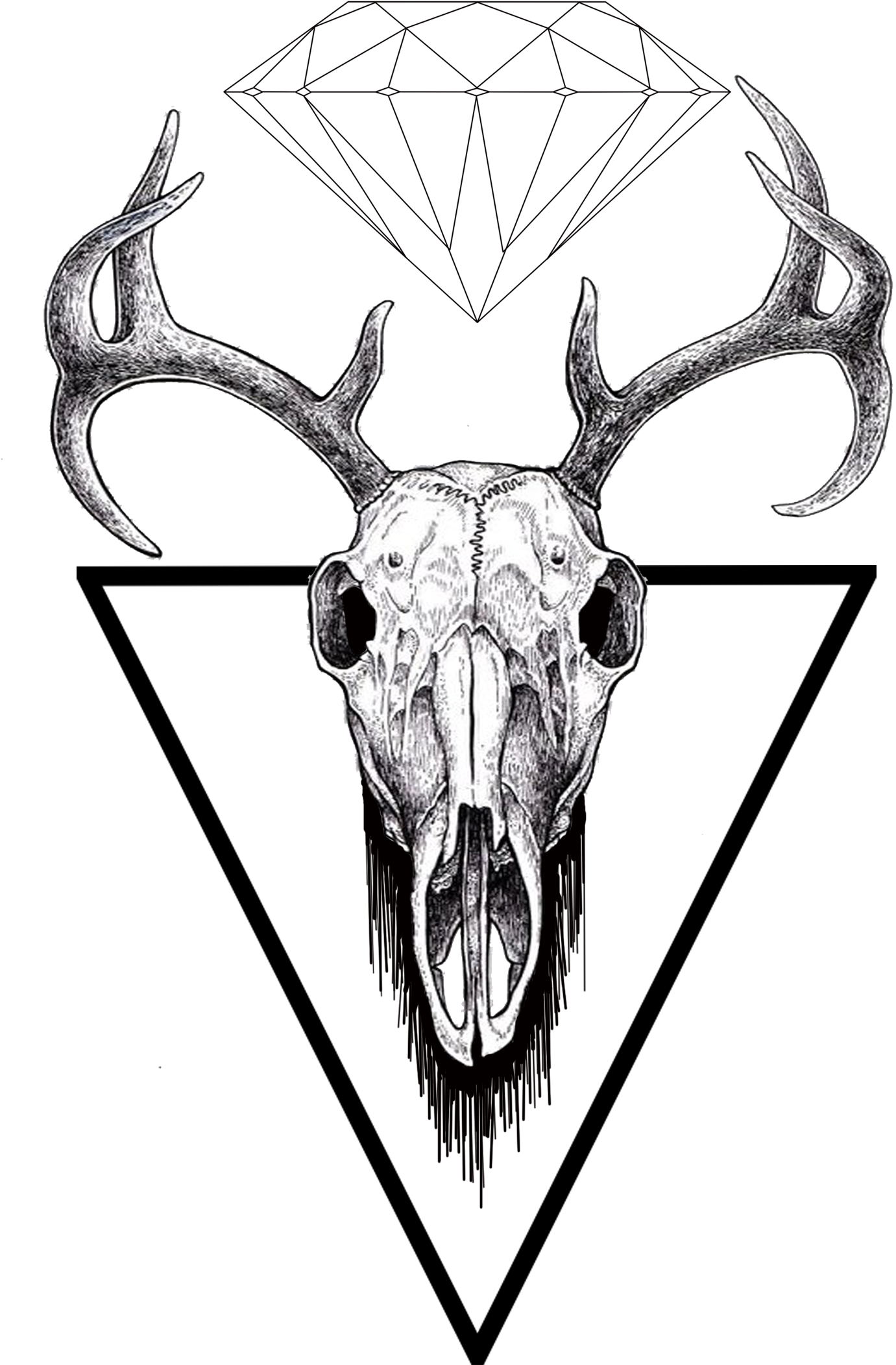 Find Us On Facebook - Stag Skull Clip Art (1465x2259), Png Download