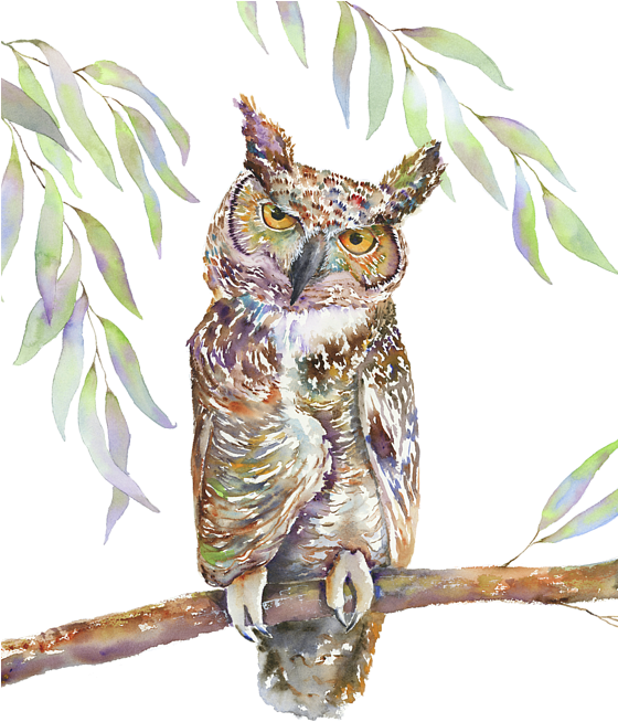 Bleed Area May Not Be Visible - Great Horned Owl (559x700), Png Download