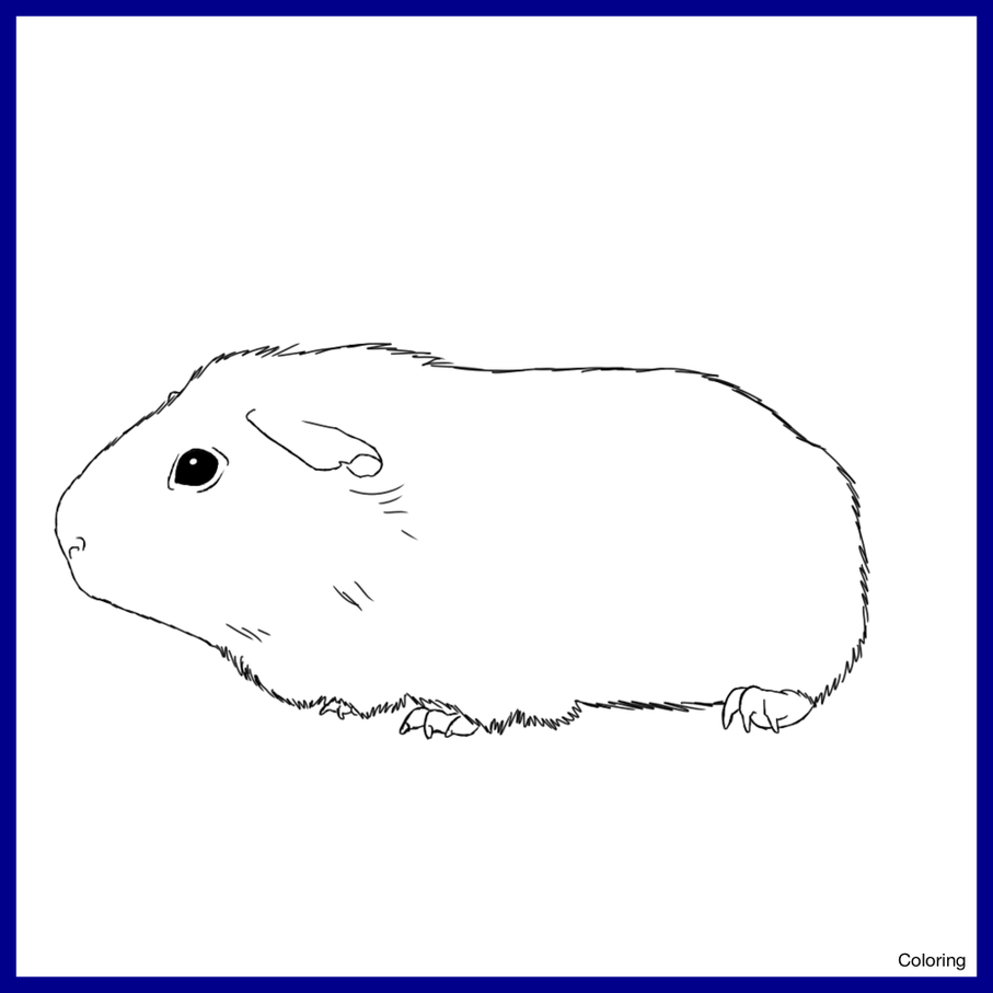 Awesome Easy Guinea Pig Drawing Clipartxtras For Styles - Easy Guinea Pig Drawing (907x907), Png Download