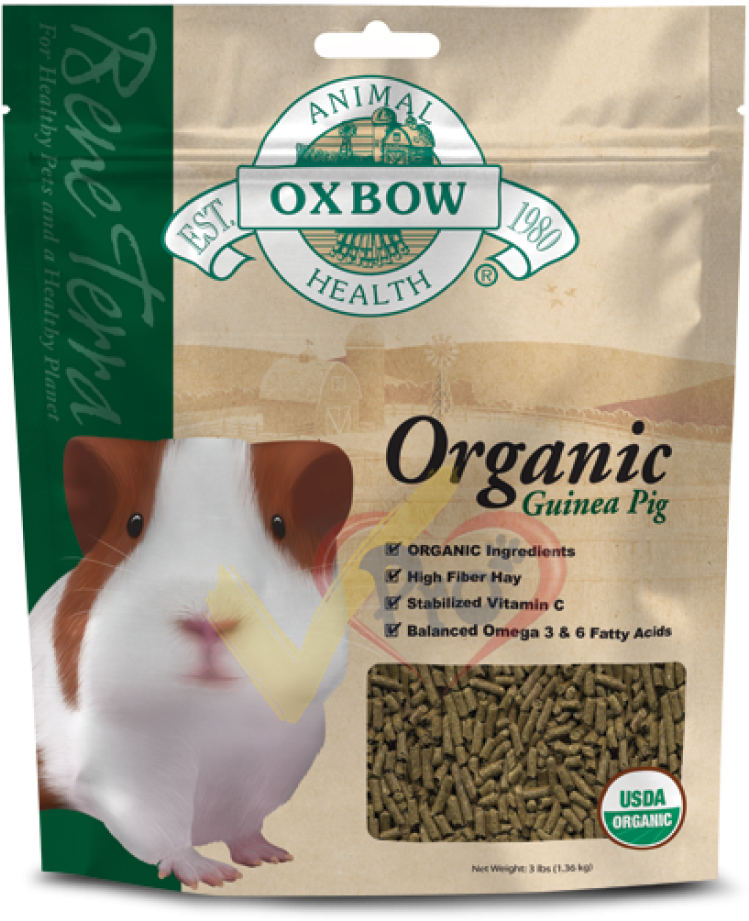 Oxbow Organic Guinea Pig (450x545), Png Download