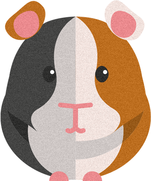 Download Guinea Pig Stickers Messages Sticker 6 Guinea Pig Clipart Png Full Size Png Image Pngkit