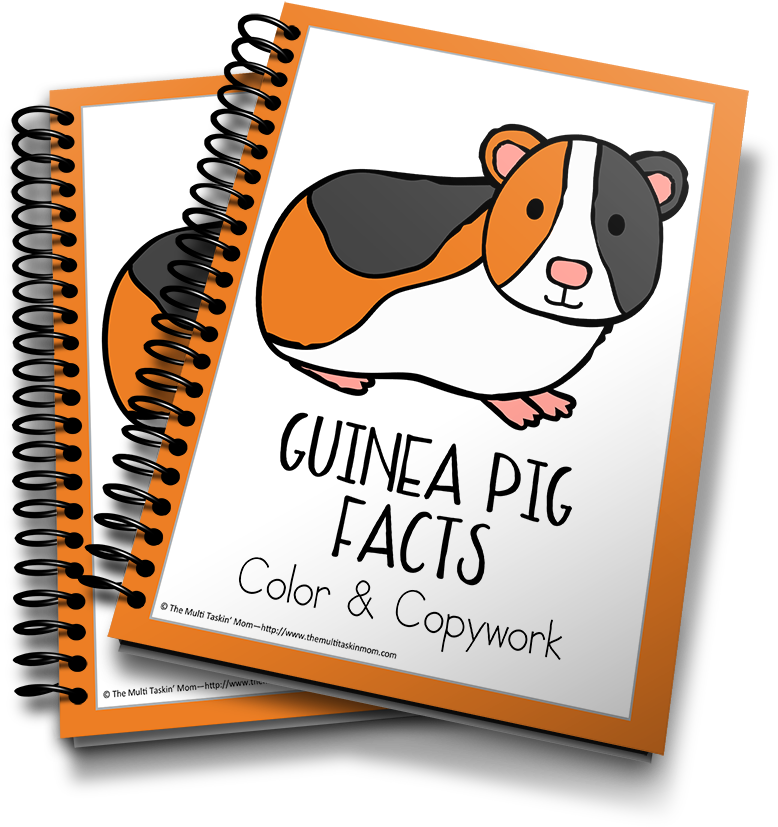 Guinea Pig - Captured Memories Workbook: Looking Back [book] (900x983), Png Download