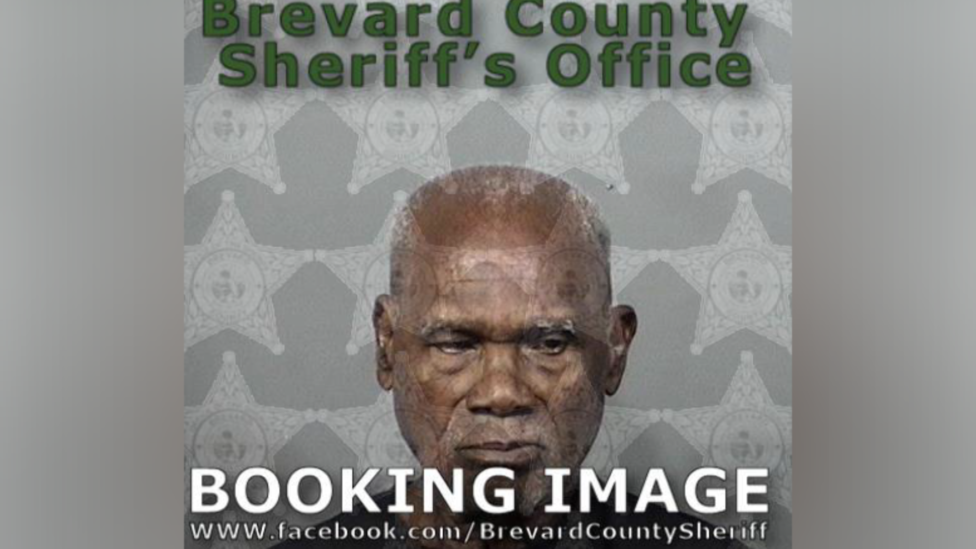 88 Year Old Palm Bay Man Arrested After Setting Raccoon - Ezra James Racoon (1920x1080), Png Download