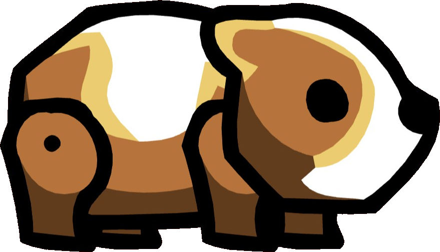 Guinea Pig - Bandicoot (879x503), Png Download
