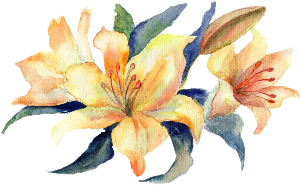 Flowers Stickers Transparent Aesthetic Cute Filter - Flower Watercolor Lily (1024x1024), Png Download