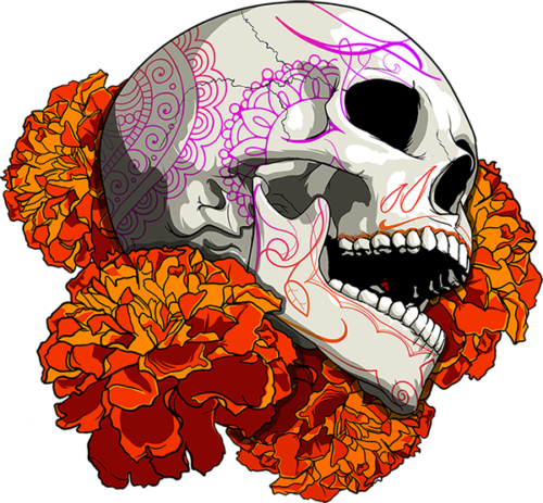 El Nombre Científico De Estas Flores Es Tagees Erecta - Flor De Cempasúchil Png (500x463), Png Download