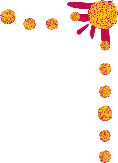 Oct 27-28 2018 (404x554), Png Download