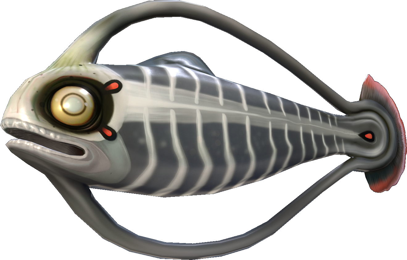 Image Hoopfish Fauna Subnautica - Gas Pods Subnautica (1600x1080), Png Download