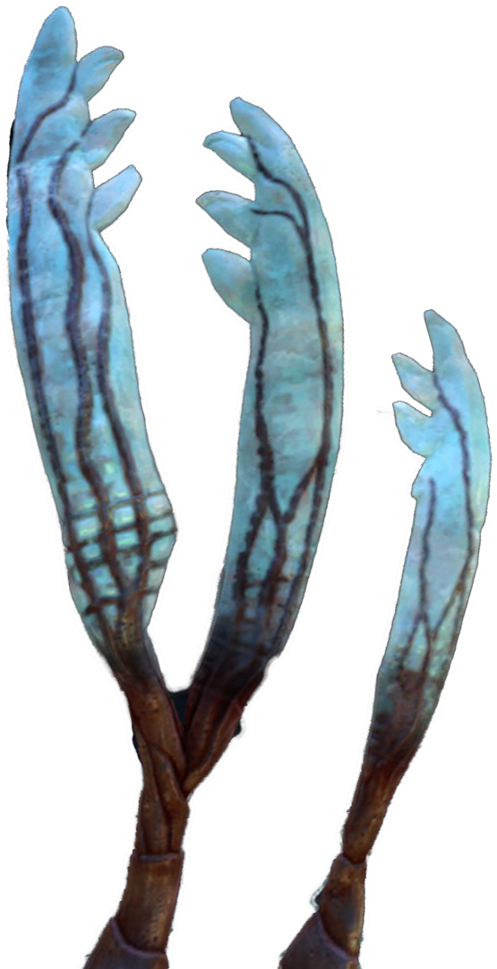 Gabe S Feather Subnautica - Gabe's (1920x1080), Png Download