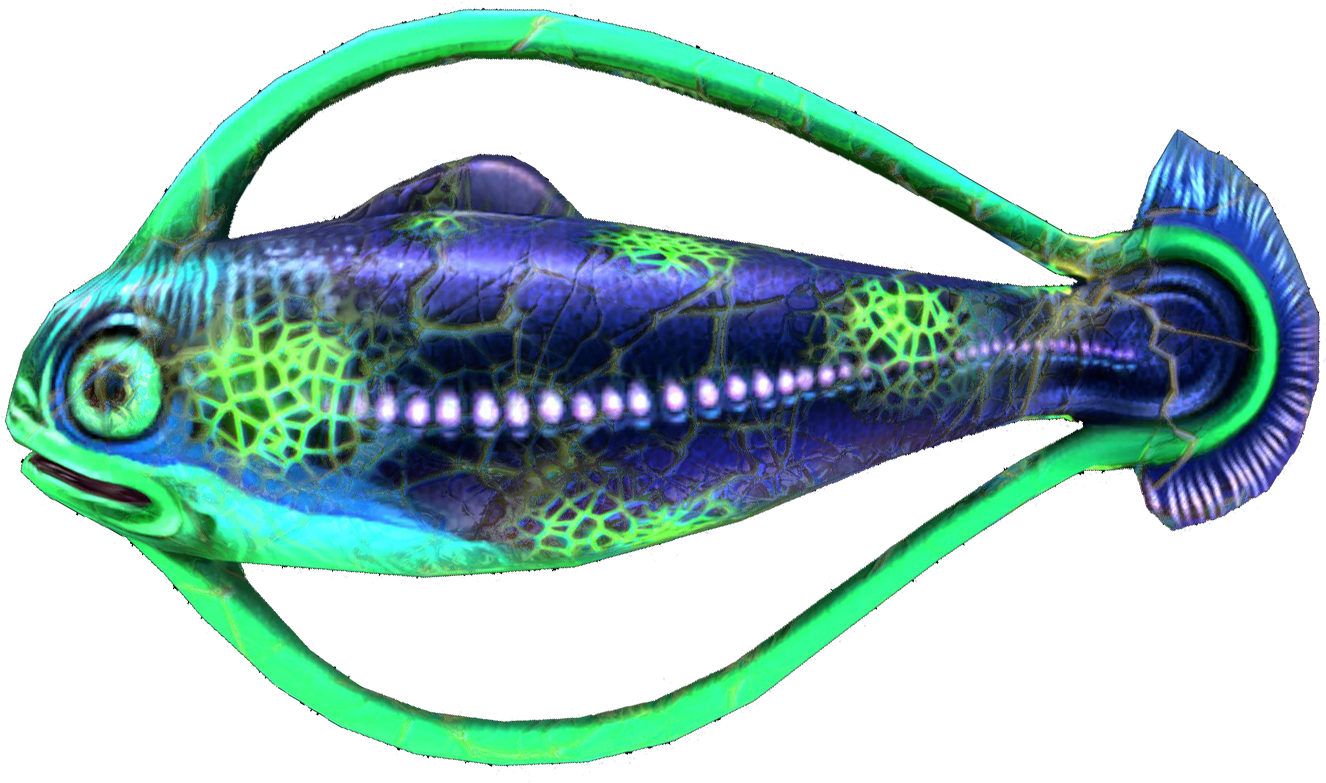Infected Hoopfish - Portable Network Graphics (1920x1080), Png Download